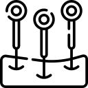 Barttransplantation